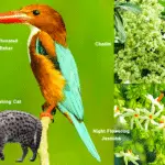 West Bengal Basic Information_1