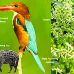 West Bengal Basic Information_1