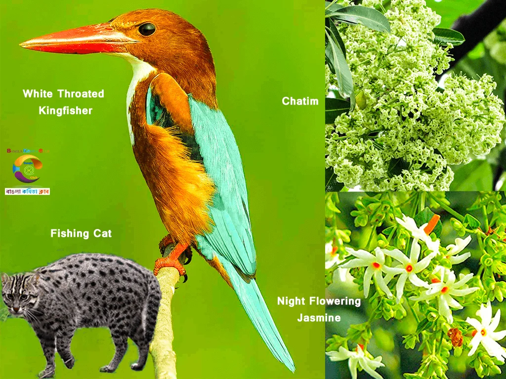 West Bengal Basic Information_1