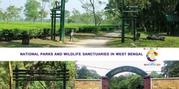 National Parks And Wildlife Sanctuaries In West Bengal_01