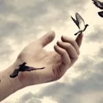 Bangla Kobita_ Mukto Bihongo Ami_মুক্ত বিহঙ্গ আমি_03