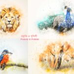 Chotoder Kobita Prokriti O Prithibi ~ প্রকৃতি ও পৃথিবী_1