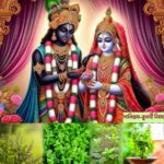 তুলসী মাহাত্ম্য✤ শালিগ্রাম-তুলসী বিবাহ তিথি ✸ Shaligram-Tulsi Vivah Katha ✤1