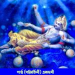 ✤Parivartini❃Parsva Ekadashi✸পরিবর্তিনী❃পার্শ্ব একাদশী ব্রত✤2